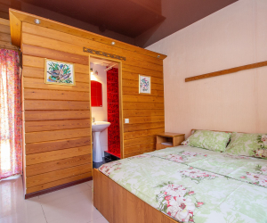 Номер Люкс без кухни